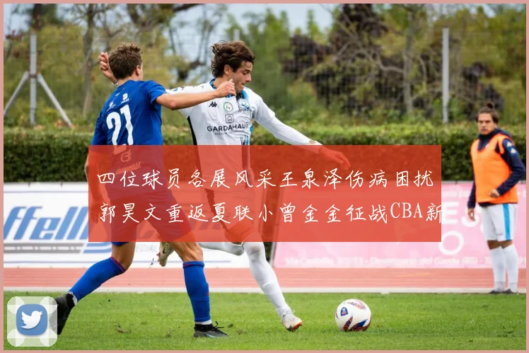 四位球员各展风采王泉泽伤病困扰郭昊文重返夏联小曾金金征战CBA新赛季