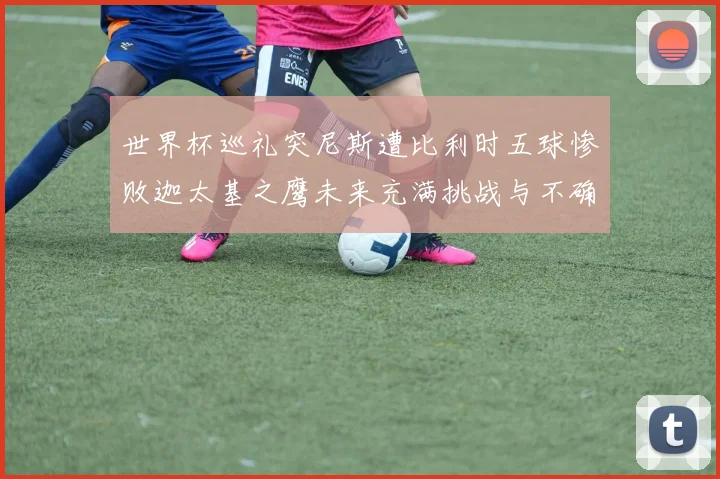 世界杯巡礼突尼斯遭比利时五球惨败迦太基之鹰未来充满挑战与不确定性
