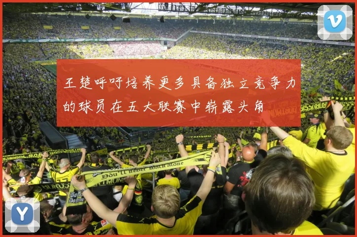 王楚呼吁培养更多具备独立竞争力的球员在五大联赛中崭露头角
