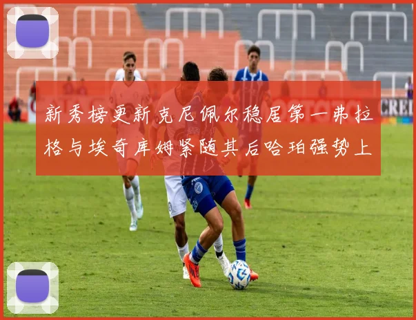 新秀榜更新克尼佩尔稳居第一弗拉格与埃奇库姆紧随其后哈珀强势上升至第四位